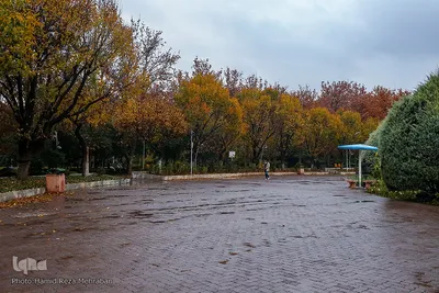 یک روز پاییزی بارانی