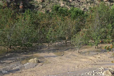 خسارت سیل در روستای افیل شهرستان اهر