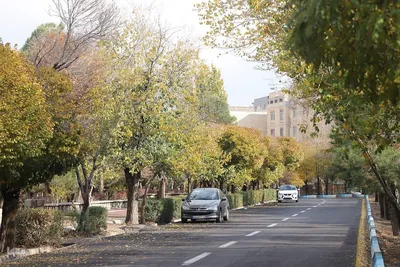 طبیعت پاییزی تبریز
