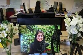 محل کار مهشادکریمی، خبرنگار حوزه محیط زیست ایسنا