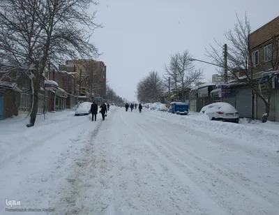 بارش شدید برف در اهر