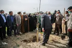 پویش سراسری درختکاری - مشهد
