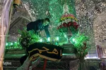 گلباران حرم شاهچراغ در شب ولادت امام رضا( ع‎‎)
