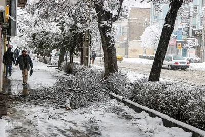 صبح برفی اراک