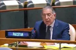 فلسطینیوں کو آزادی کیلئے ہر ممکنہ جدوجہد کرنے کا حق حاصل ہے، منیر اکرم