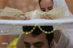 پیوند آسمانی