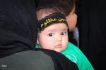 مراسم شیرخوارگان حسینی در نایین