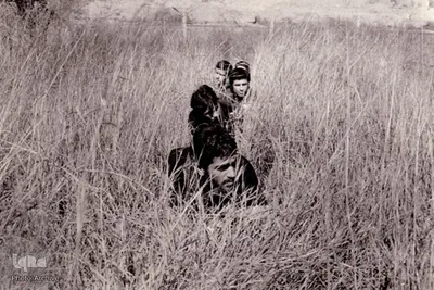 گل‌خاک شهیدان؛ غواصان بی نشان
