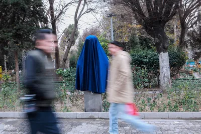 آیین رونمایی از ۸ سردیس شهدای دانشجو