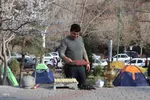 روز طبیعت در تبریز