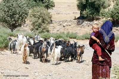 روستای صعب العبور احمد فداله دزفول 