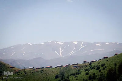 جنگل ، هدیه خدا (به بهانه ۸ مردادماه روز ملی جنگل)