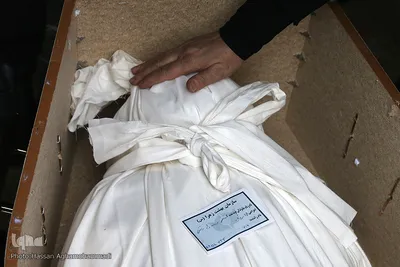 مراسم تدفین پیکر مرحوم استاد «محمد تقی مروت» در قطعه نام آوران بهشت زهرا