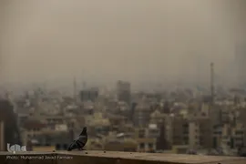 آلودگی شهر تهران، دوشنبه ۱۱ آذر
