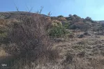 طبیعت زیبای پاییزی رشته کوه‌های جنوبی اهر