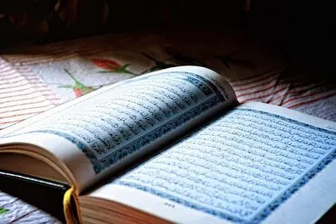 Müharibənin ümidsizlik yaradan təsvirindən proses yönlü və fürsət yaradan baxışa keçid