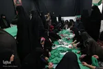 Südəmər körpələr günü
