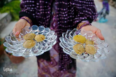 برداشت گیاه دارویی خارپنیری در استهبان فارس