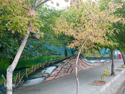 خودنمایی فصل خزان در اولین روزهای فصل پاییز