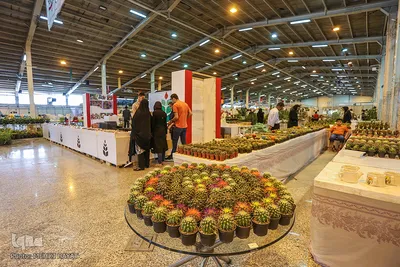 هشتمین دوره نمایشگاه گل و گیاه در اراک