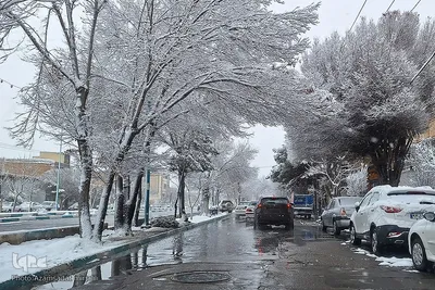 رخت سفید بر تن یزد جهانی