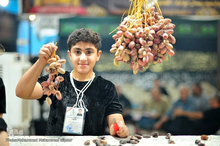 Iraq Mobilizes Resources for Millions of Pilgrims Commemorating 7th Shia Imam