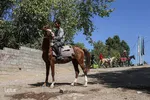 سوارکاران خراسان شمالی در راه مشهد
