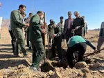 کاشت ۲۰۰ هزار نهال به همت جهادگران در خراسان جنوبی