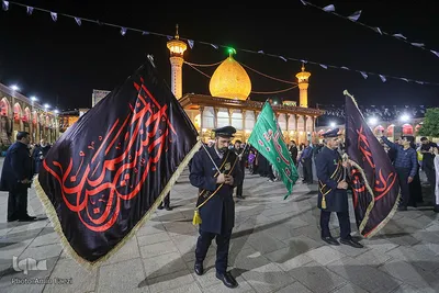 شام شهادت امام رضا(ع)‎