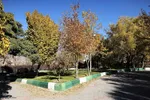 طبیعت پاییزی تبریز