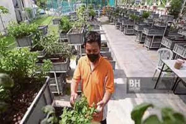 Manfaat masjid, teknologi lonjak produktiviti ekonomi Islam