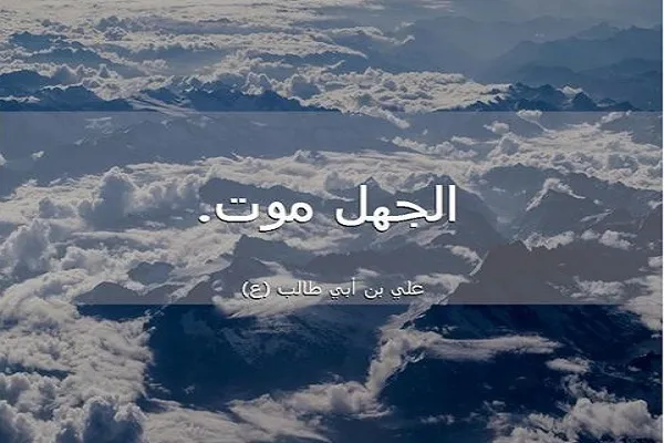 رأي العالم العارف أوثق من رأي الجاهل