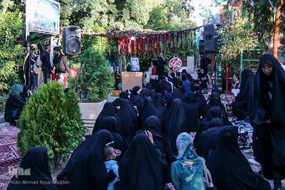 ویژه برنامه «سِرّ سَر» در گلزار شهدای شیراز‎‎