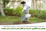 پویش درختکاری به نیت رهبر شهید برگزار می‌شود