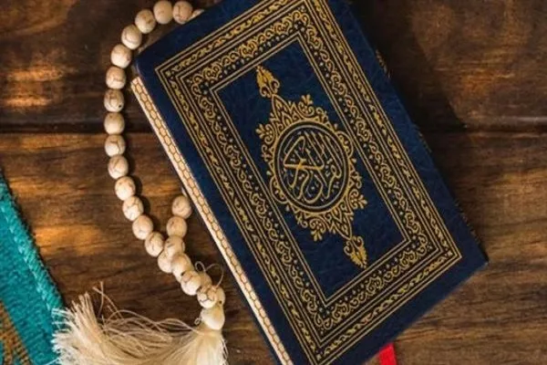 استطلاع للرأي يكشف رفض معظم الدنماركيين لحرق القرآن