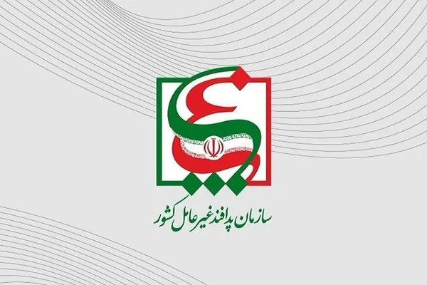 اطلاعیه سازمان پدافند غیرعامل کشور درباره اعدام «مهدی فرید»