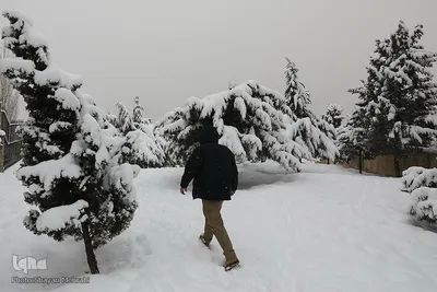 تهران برفی