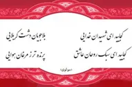 شور حسینی در آینه عرفان مولوی