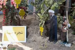 افتتاحیه جشنواره ملی زرشک در خراسان‌جنوبی