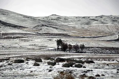 بارش برف پاییزی در ارتفاعات و مناطق روستایی اهر