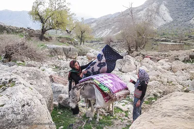 عشایر و زندگی روستایی