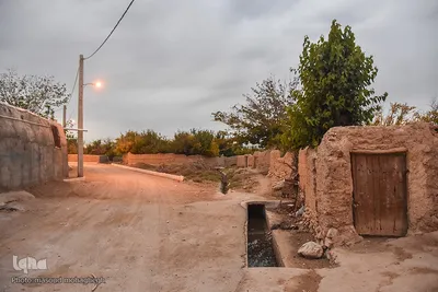 برداشت سنتی فلفل روستاهای بخش بیارجمند شاهرود‎‎