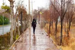 آخرین روز‌های پاییز در دانشگاه اصفهان