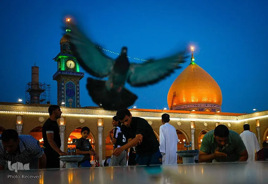 عدسة 