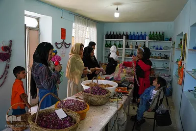 جشنواره گل محمدی در میمند فارس‎‎
