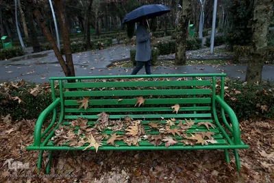اولین باران زمستانی تهران