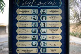تذکره شعرای تخت فولاد