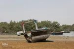 طبیعت صفر مرزی چابهار