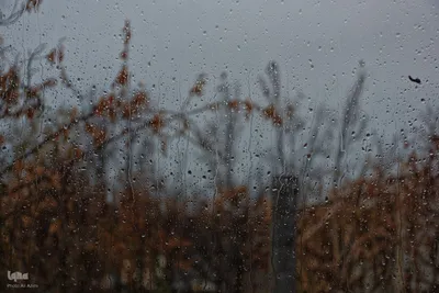 نغمه باران در اصفهان