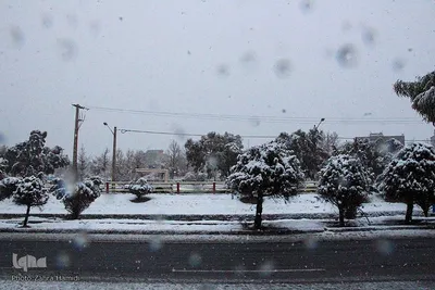 برف در خیابان‌های بیرجند